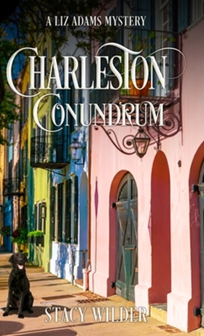 Charleston Conundrum, Stacy Wilder - Gebonden - 9798985426649