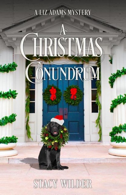 A Christmas Conundrum, Stacy Wilder - Paperback - 9798985426670