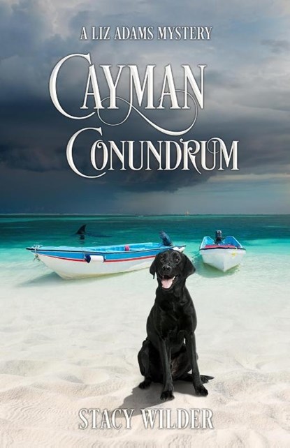 Cayman Conundrum, Stacy Wilder - Paperback - 9798985426694