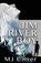 Jim River Boy, Mj Ulmer - Paperback - 9798985960501