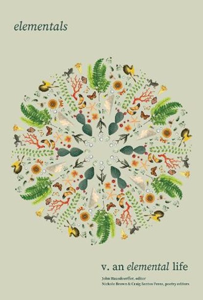 Elementals: An Elemental Life, Vol. 5, John Hausdoerffer - Paperback - 9798986289670