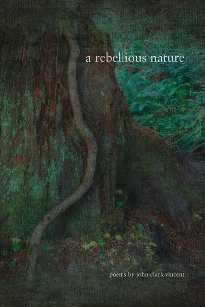 A Rebellious Nature, John Clark Vincent - Paperback - 9798986399034