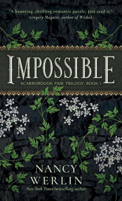 Impossible, Nancy Werlin - Gebonden - 9798986758626