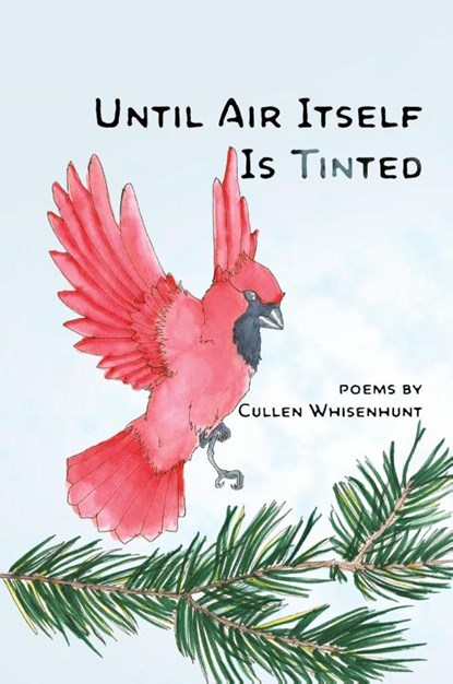 Until Air Itself Is Tinted, Cullen Whisenhunt - Paperback - 9798986899435