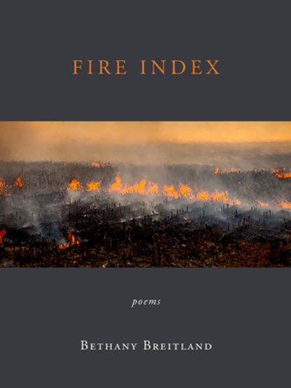 Fire Index, Bethany Breitland - Paperback - 9798987070796