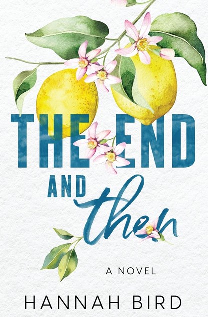 The End and Then, Hannah Bird - Paperback - 9798987266601