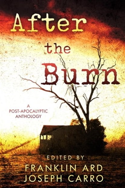 After the Burn, Franklin Ard ; Joseph Carro ; Paul Carro ; Shane R. Collins ; Renee S. DeCamillis ; Devin Gaither ; Derek B. Hoffman ; Rebecca McKenna ; Karen Marie Menzel ; Richard Squires ; Chloe Viner - Ebook - 9798987340103