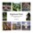 Highland Park, Debi Bower - Paperback - 9798987462096