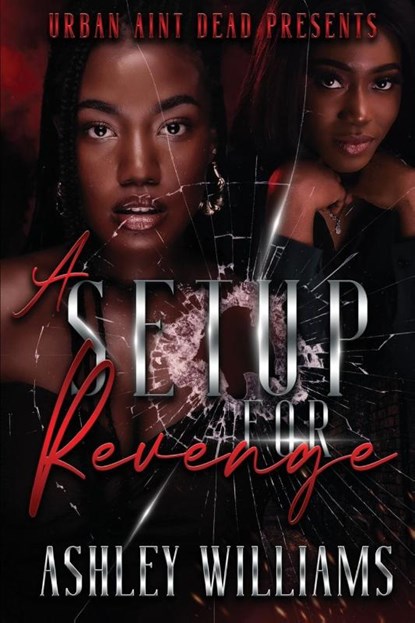 A Setup For Revenge, Ashley Williams - Paperback - 9798987542231