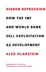 Hidden Repression - Alex Gladstein - 9798987636398