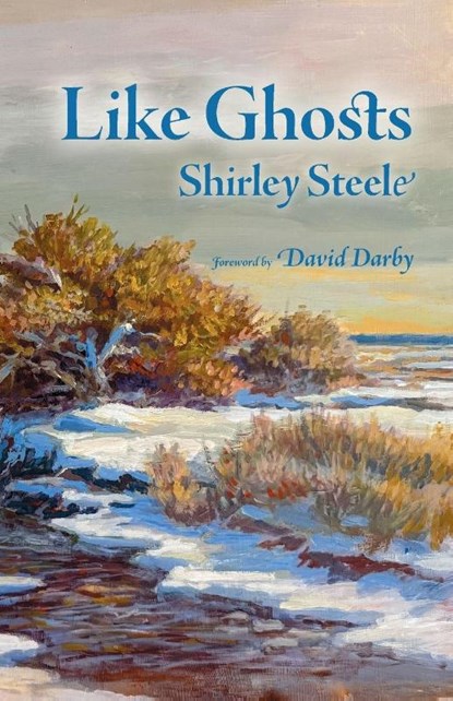Like Ghosts, Shirley Steele - Paperback - 9798987699645