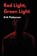 Red Light Green Light, Erik Patterson - Paperback - 9798987801697