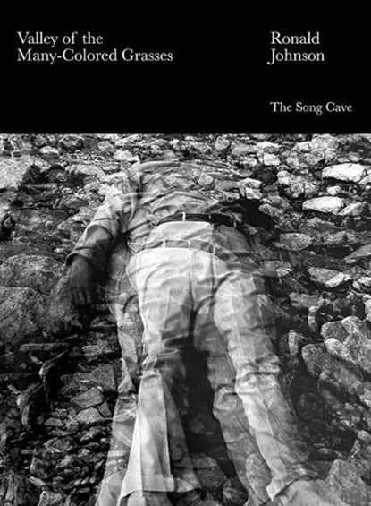 Valley of the Many-Colored Grasses, Ronald Johnson - Paperback - 9798987828809