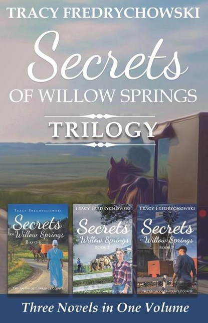 Secrets of Willow Springs Trilogy, Tracy Fredrychowski - Paperback - 9798987904053