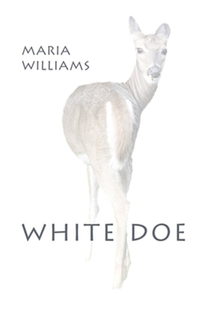 White Doe, Maria Williams - Paperback - 9798987954171