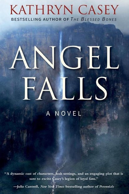 Angel Falls, Kathryn Casey - Paperback - 9798988247715