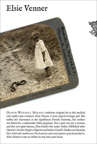 Elsie Venner, Holmes Wendell - Paperback - 9798988606161