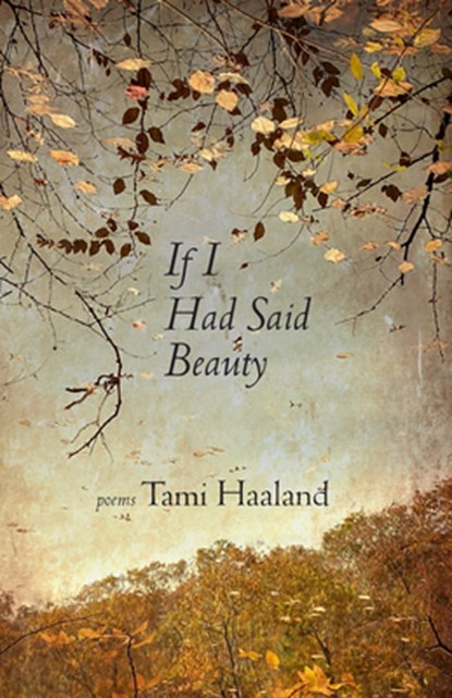 If I Had Said Beauty, Tami Haaland - Paperback - 9798989096589