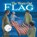 The Worn-Out Flag, Karen Bowen - Paperback - 9798989242313
