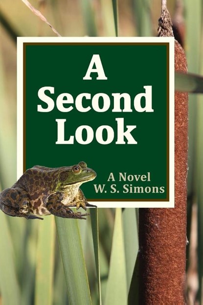 A SECOND LOOK, Wendy S Simons - Paperback - 9798989359400