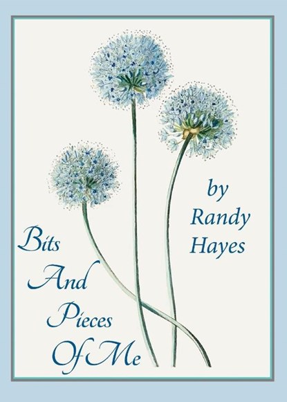 Bits And Pieces Of Me, Randy Hayes - Paperback - 9798989644735