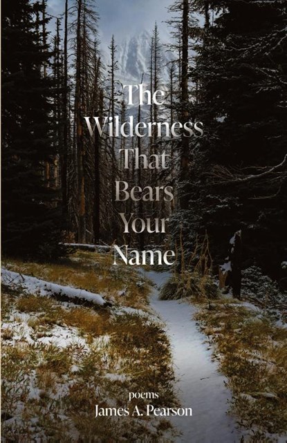 The Wilderness That Bears Your Name, James A Pearson - Paperback - 9798990221000
