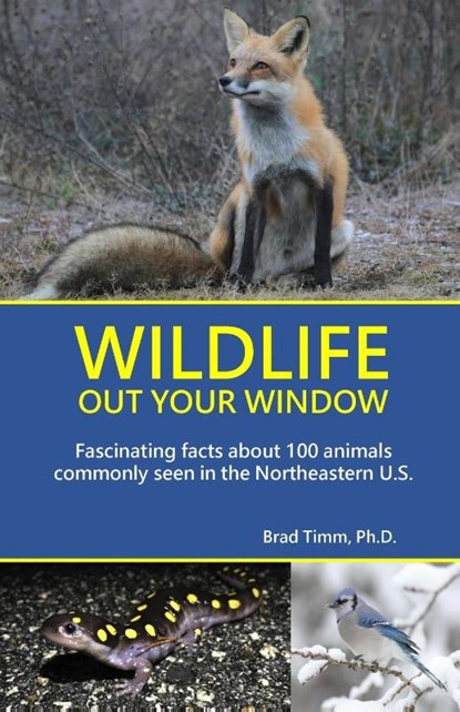 Wildlife Out Your Window, Brad Timm - Paperback - 9798990443204