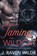 Taming the Wildcat, J Raven Wilde - Paperback - 9798990687134