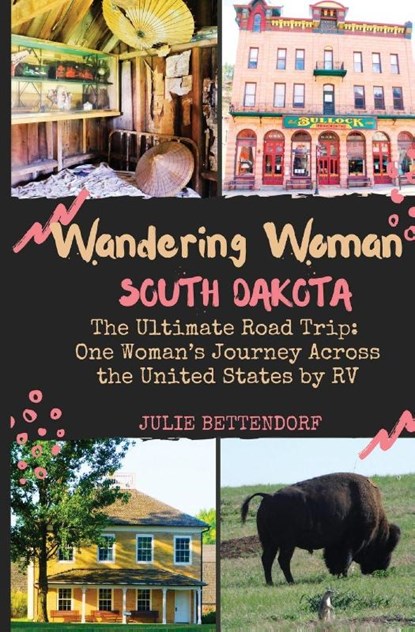Wandering Woman, Julie G Bettendorf - Paperback - 9798990730090
