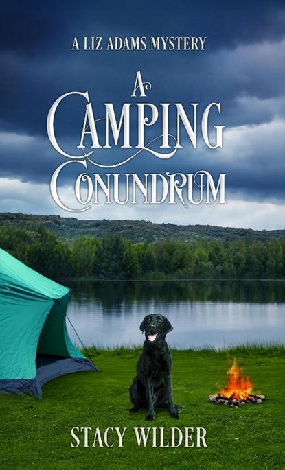 A Camping Conundrum, Stacy Wilder - Gebonden - 9798990783133