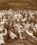 Yiddish: A Global Culture, David Mazower - Gebonden - 9798990998070
