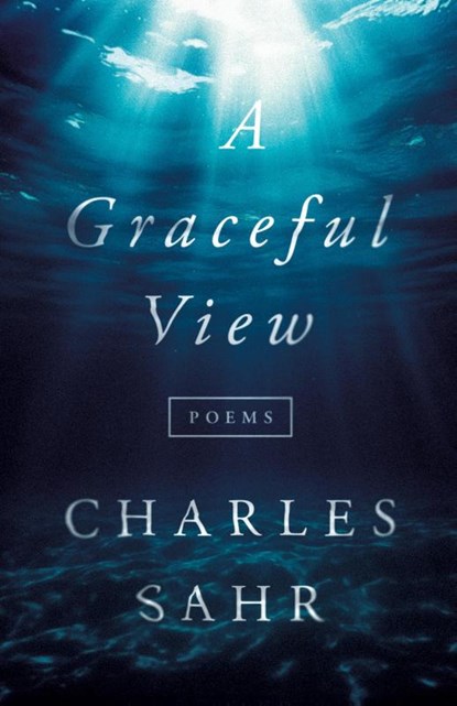 A Graceful View, Charles Sahr - Paperback - 9798991323307