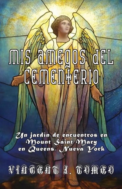 MIS AMEGOS DEL CEMENTERIO, Vincent J Tomeo - Paperback - 9798991790819