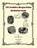 1921 Scribbles Morgan Dollar Attribution Guide, Leroy Van Allen ; Crae Morton - Paperback - 9798991964890