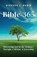 Bible-365, Stephen J Robin - Paperback - 9798992050295