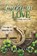 Lucky In Love, Danielle Baker - Paperback - 9798992131628