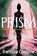 Prism, Barbara Ann Curbow - Paperback - 9798992558005