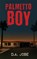 Palmetto Boy, D. A. Jobe - Paperback - 9798992576733