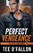Perfect Vengeance, Tee O'Fallon - Paperback - 9798992596717