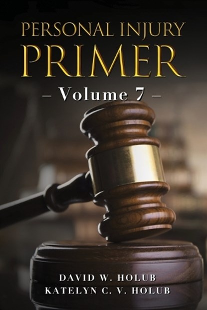 Personal Injury Primer, Katelyn C V Holub ; David W Holub - Paperback - 9798992629644