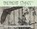 Shepherd Stories Volume 5, David Curtis - Paperback - 9798992669831