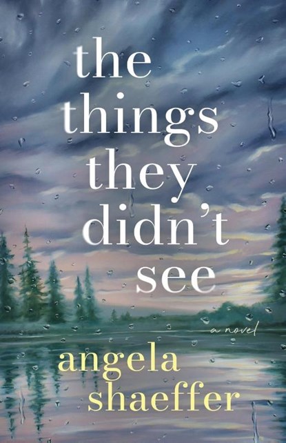 The Things They Didn't See, Angela Shaeffer - Paperback - 9798992825213