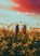 Rot & Ripening, Rissa Pappas - Paperback - 9798992899146