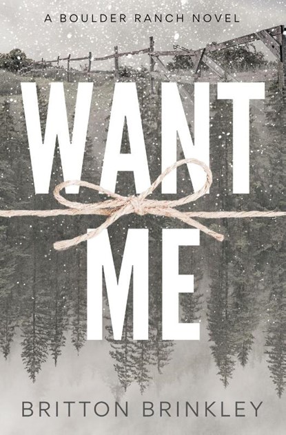 Want Me, Britton Brinkley - Paperback - 9798992956542