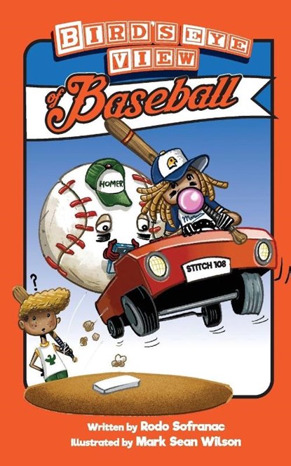 Birds Eye View of Baseball, Rodo Sofranac ; Susan Anne Sofranac ; Mark Sean Wilson - Paperback - 9798993131207