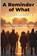 A Reminder of What Democracy Is, Gail Webster - Paperback - 9798993423210