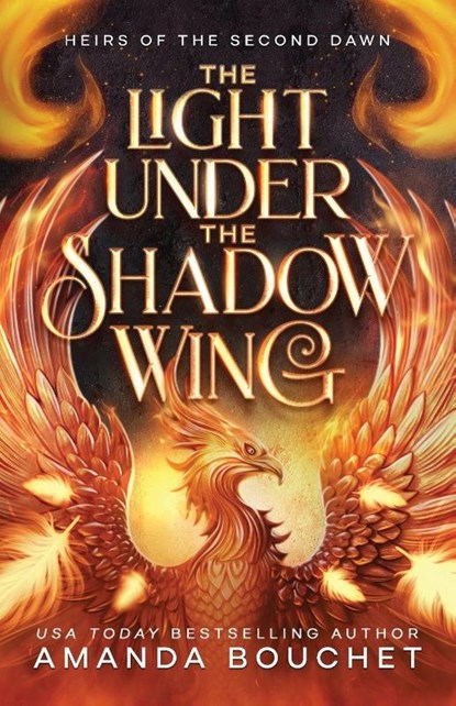 The Light Under the Shadow Wing, Amanda Bouchet - Paperback - 9798993431819