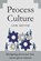 Process Culture, Sam Meyer - Paperback - 9798994369418