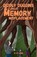 Diddly Duggins and the Great Memory Misplacement, Daniel Robert Long - Paperback - 9798994385906