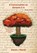 A Conversation on Genesis 2-4, David J Marsh - Paperback - 9798998569746